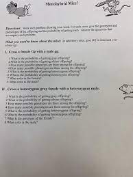In the genetic diagrams for these crosses: Solved Monohybrid Mice Directions Work Each Problem Sho Chegg Com