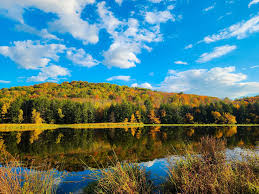 🍂🧡 • • •  #canon#70D#canon_photos#canonusa#teamcanon#canon_photos#canon_ig#landscapephotography#landscape_lovers#naturephotography#nature_perfection#nature_brillance#sunsetporn#ig_bestshots#instalike#fallphotography#beforeandafter#ig_myshot  ...