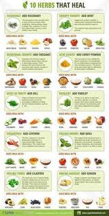 Become A Certified In Holistic Nutrition And Create Lifestyle Plans To Support Optimal Health The Holistic Nutritio Healing Food Healing Herbs Health Remedies