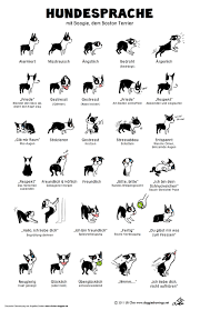 Deinen Hund Verstehen Lernen Unit 1 Calming Signals Mydoggoeswuff