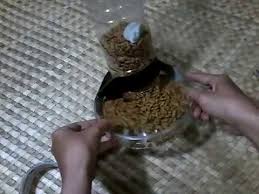 Sangat bermanfaat di saat kita. Di Rumah Saja Ep 2 Tempat Makan Kucing Otomatis Youtube