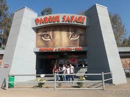 Rancagua, coltauco, coinco, doñihue, lo miranda y rancagua oriente. Trabajadora Murio Tras Ser Atacada Por Un Tigre En Parque Safari De Rancagua