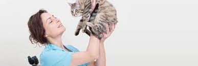 We did not find results for: Valley Cottage Animal Hospital Reviews Veterinarians At 202 Rt 303 Valley Cottage Ny