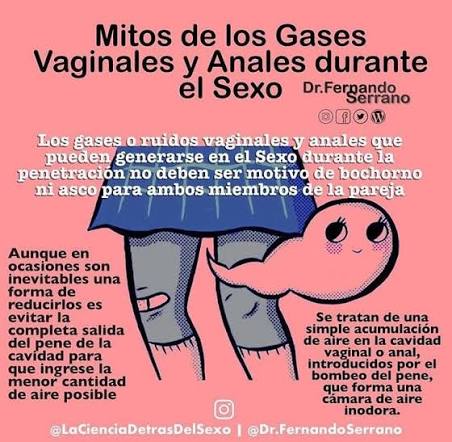 Girly - Los GASES VAGINALES son mucho más frecuentes de lo que te imaginas.  Así que permanece tranquila, tan solo es aire que se ha introducido en tu  vagina y que, a