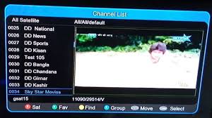 How can i get free channels on dish network,i already have the basic plan but is ther a way to get all 0. Skystar Hindi Movie Channel Added On Dd Freedish At Channel No 10 Channel Tv Channel List Hindi Movies