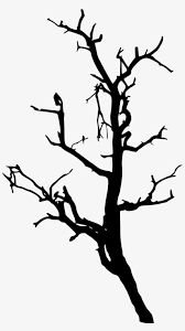 Landscape shrub png transparent clipart for download. 17 Dead Tree Silhouette Silhouette Transparent Png 867x1500 Free Download On Nicepng