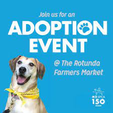 This site provides a way for pet owners to offer their pets for adoption to the public and for the public to view. Maryland Spca Join Us And Adoptable Pets At The Rotunda Facebook