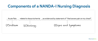 Nursing Diagnosis Everything You Need To Know 2020 Guide Nursing Diagnosis Nursing Journal Diagnosis