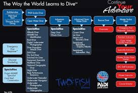 padi courses flow chart 1024x716 two fish divers