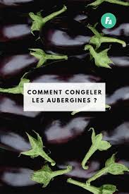 Comment Congeler L Aubergine Pour La Conserver Aubergine Caviar D Aubergine Conserve De Courgettes
