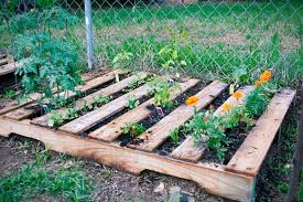 Therefore, do not think of making an expensive garden. 25 Ways Of How To Use Pallets In Your Garden