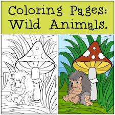 Select from 35919 printable coloring pages of cartoons, animals, nature, bible and many more. Coloring Pages Wild Animals Mother Hedgehog With Her Little Royalty Free Cliparts Vectors And Stock Illustration Image 56471978