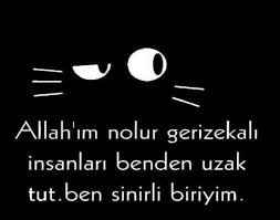 kufurlu sozler dunyanin en uzun kufuru aliskanlik