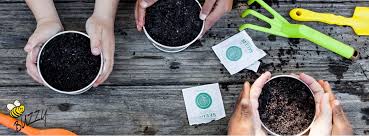 How to grow cactus from seed (with update video) подробнее. Buzzy Seeds Reviews Facebook