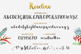 Fonts that support the vietnamese language. Roseline Pretty Fancy Cursive Font Fancy Cursive Fonts Fancy Cursive Calligraphy Script Fonts