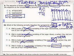 Fill out, securely sign, print or email your dna base pairing worksheet answer key instantly with signnow. Dna Structure And Replication Worksheet Dna Structure And Replication Worksheet Dna Replication What Is The First Step In The Process Of Dna Replication Kumpulan Alamat Grapari Telkomsel Dan Alamat Bank