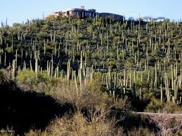 Looking for hotels in cave creek? Come To Cactus Kingdom Looney Listing