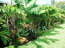 For example, landscaping lights will add depth. Diy Tropical Fence Border Garden 2nd Update If You Ve Been Following The Progress Of This P Tropical Landscape Design Tropical Backyard Tropical Landscaping