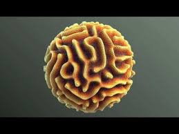 Grey Scott S Reaction Diffusion Houdini Vex Houdini Diffuser Point Cloud