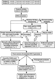 Fig 1 Journal Of Virology