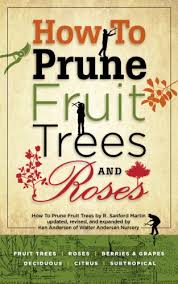 We did not find results for: How To Prune Fruit Trees And Roses Kindle Edition By Martin R Sanford Andersen Ken Crafts Hobbies Home Kindle Ebooks Amazon Com