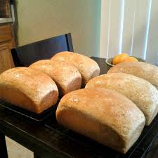 Taylor House Thursday 20 Wheat Bread Whole Wheat Bread Recipes
