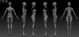 Female 3d Anatomy Template Female Anatomy Reference Female Anatomy 3d Anatomy