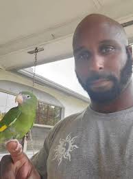 Sorry for photos, Swainson's Hawk/s? Palm Beach County, FL. Sugarcane burn.