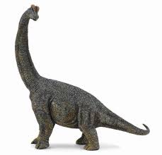 Brachiosaurus Deluxe Collecta Dinosaur Pictures Brachiosaurus Dinosaur