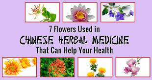 7 Flowers Used In Traditional Chinese Herbal Medicine Chinese Herbal Medicine Herbalism Herbal Medicine