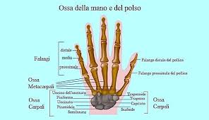 Dolore Al Polso Le Cause E Le Terapie