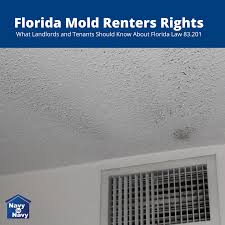 Some other factors you might consider hiring a mold inspector after you have actually verified a mold problem is to ensure hvac mold inspection near me. Florida Mold Renters Rights Tenant And Landlord Rights