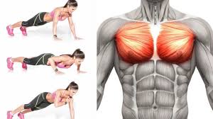 Shoulder Tap Push Up Gymguider Com Push Up Hip Workout Exercise