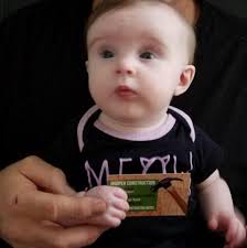 David Hooper Construction