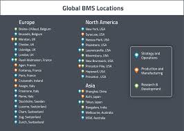 Extraordinary Bristol Myers Squibb Organizational Chart