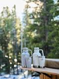Amazon.com: Stanley Classic Easy-Pour Growler 64 oz | Keeps ...