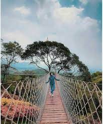 Sehingga selain banyaknya spot foto yang disediakan di sini, kamu juga dapat mengunjungi beberapa spot yang masuk dalam kategori kebun binatangnya. 42 Tempat Wisata Di Bogor Terbaru 2021 Yang Hits Terbaik Dengan Pemandangan Paling Indah Kepengen Wisata