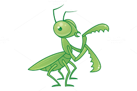Praying Mantis Cartoon Character Praying Mantis Cartoon Drawings Drawings