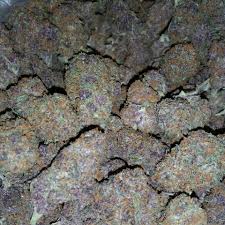 Forbidden fruit cake by the plug seedbank is a feminised cannabis seed derived from the sweet cross of wedding cake and a forbidden fruit. About Chameleon Extracts