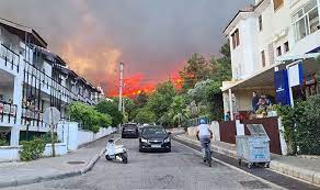 Aydın'da korkutan yangındidim ilçesinde makilik alanda çıkan yangının su parkındaki kaydıraklara sıçraması sonucu hasar oluştu. Ef7dk7k2xszelm