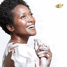 Amazon.com: סבון גוף לחות ללא סולפטים של Dove מעניק לחות לעור מרגיע נוגד  לחץ ניקוי גוף עם ניחוח קמומיל כחול וחלב שיבולת שועל 623.7 גרם 4 יחידות :  יופי וטיפוח