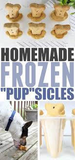 1/2 ounce formula = 15cc 1 ounce formula. Homemade Frozen Pupsicles Dog Popsicles The Creek Line House