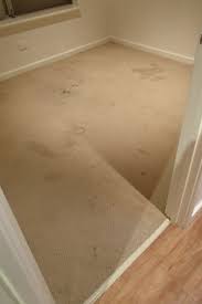 A receipt is given for every job that will keep your property manager or landlord happy. Diamond Carpet Care