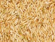 Rice Sorting | Cleaner and Safer Rice | Bühler Group