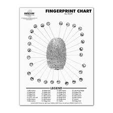 Fingerprint Ridge Structure Wall Chart Training Materials