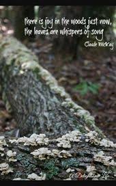 Woods Quote Into The Woods Quotes Wood Quotes