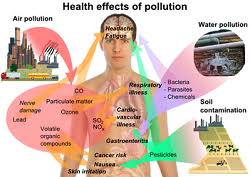 Image result for air pollution passage