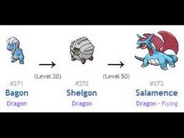 Shelgon Evolution Chart Bedowntowndaytona Com