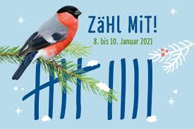 À quelle heure et sur quelle chaîne regarder le match ? Stunde Der Wintervogel 2021 Tagesaktuelle Ergebnisse Nabu