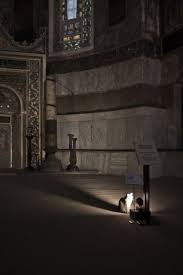 Ayasofya Nin Meshur Kedisi Gli Resim 6 Istanbul Kedi Resim